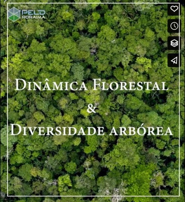 Dinâmica florestal e diversidade arbórea