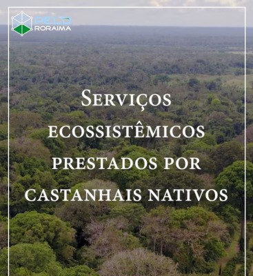 Serviços ecossistêmicos de castanhais nativos